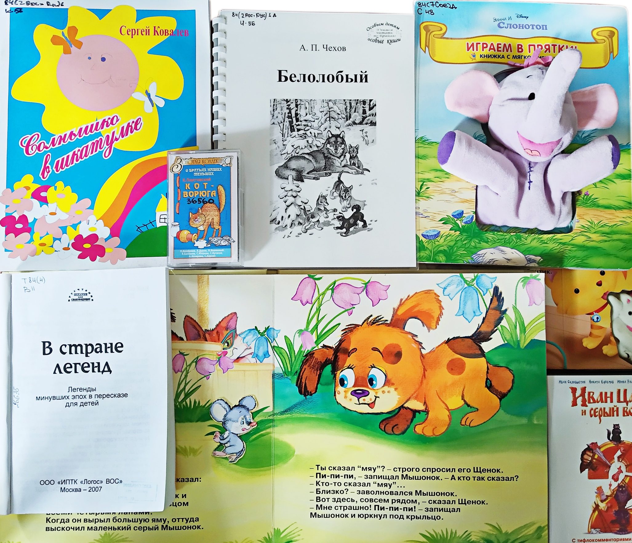 книг разных форматов для незрячих и слабовидящих детей