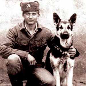 День памяти фронтовой собаки