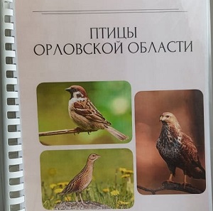 Международный день птиц
